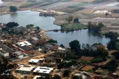 土壤水分對葉片特性有什么影響？