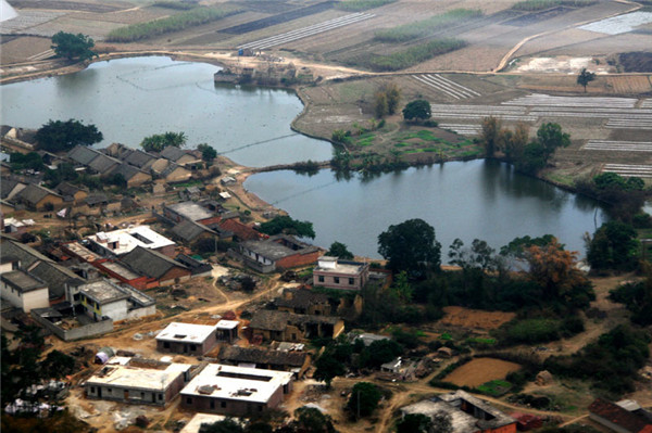 土壤水分對葉片特性有什么影響？