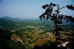 土壤水分速測(cè)儀在連翹種植中效果如何?