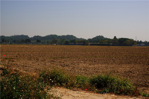 土壤水含量的變化對(duì)植物有哪些影響？