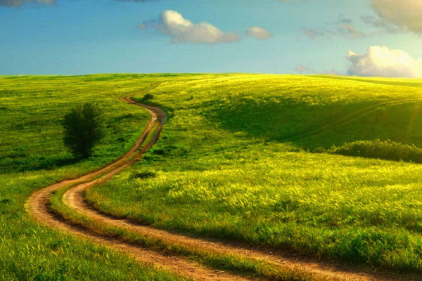 土壤墑情監測系統