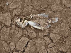 安裝土壤墑情自動監測系統的意義在哪里？