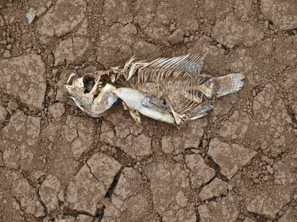 安裝土壤墑情自動監測系統的意義在哪里? 安裝土壤墑情自動監測系統的意義在哪里?