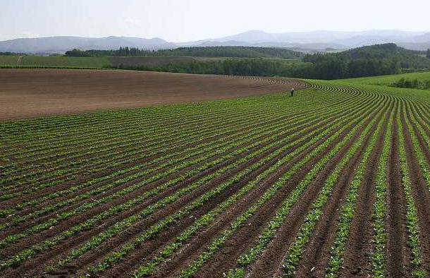 神經(jīng)網(wǎng)絡法能用于土壤墑情預測嗎? 神經(jīng)網(wǎng)絡法能用于土壤墑情預測嗎?