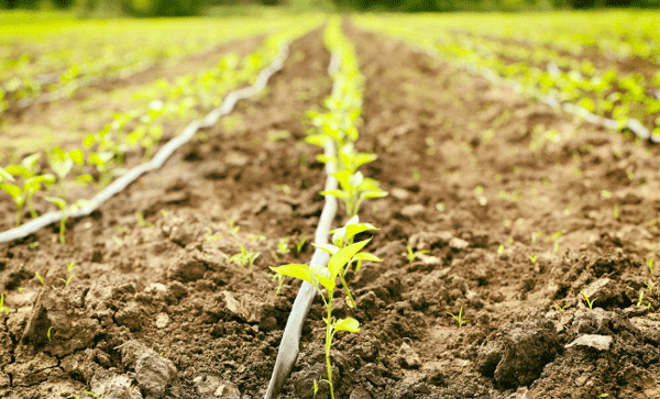 為什么要開展土壤墑情監(jiān)測(cè)工作? 為什么要開展土壤墑情監(jiān)測(cè)工作?