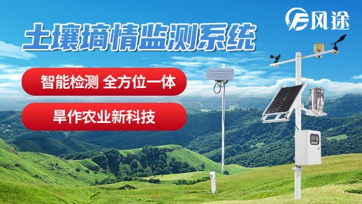 土壤墑情監測系統助力玫瑰的種植 土壤墑情監測系統助力玫瑰的種植